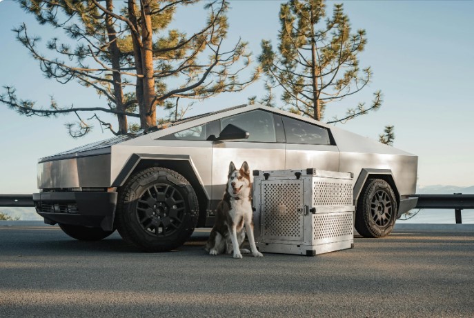  tesla  