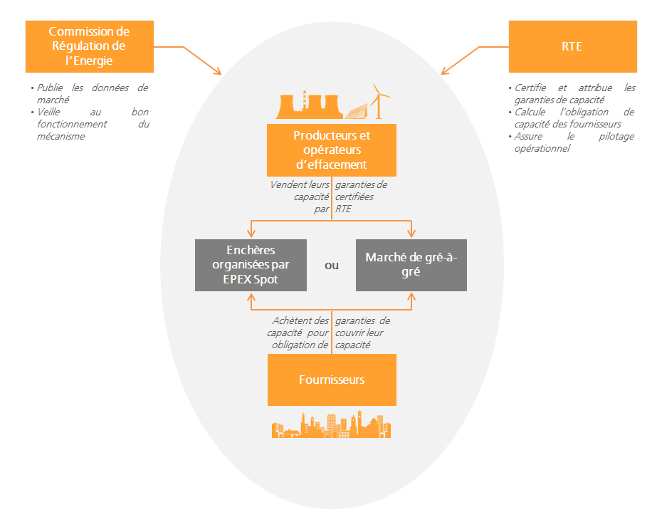 Les interactions entre les acteurs participant au mécanisme de  capacité