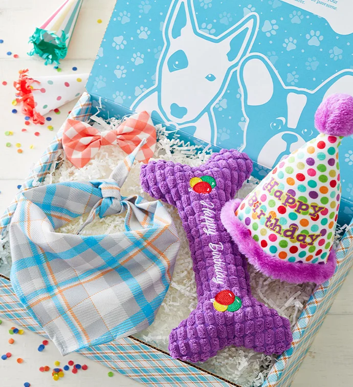 max and milo dog birthday box