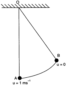 NCERT Solutions for Class 11 Physics Chapter 5 Laws of Motion Q12