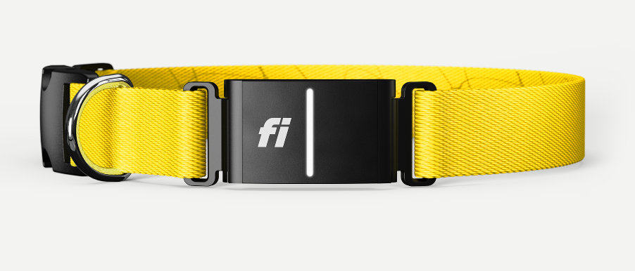 fi smart dog collar series 3