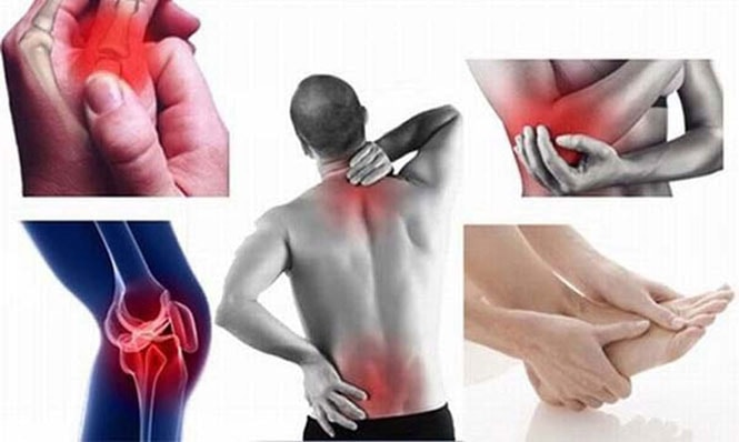 Đào tạo chiropractic vật lý trị liệu: Cách cải thiện sức khỏe và giảm đau hiệu quả-2