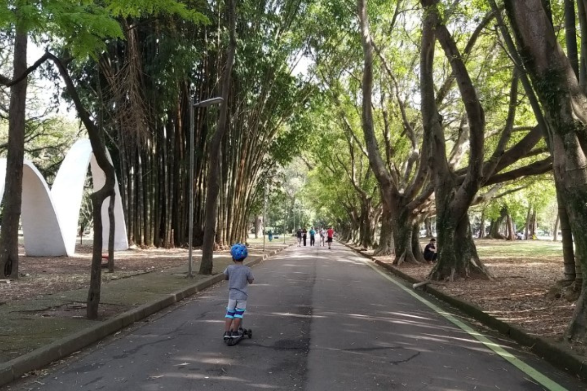 Parque do Ibirapuera 