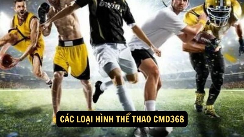 Các loại hình Thể Thao CMD368