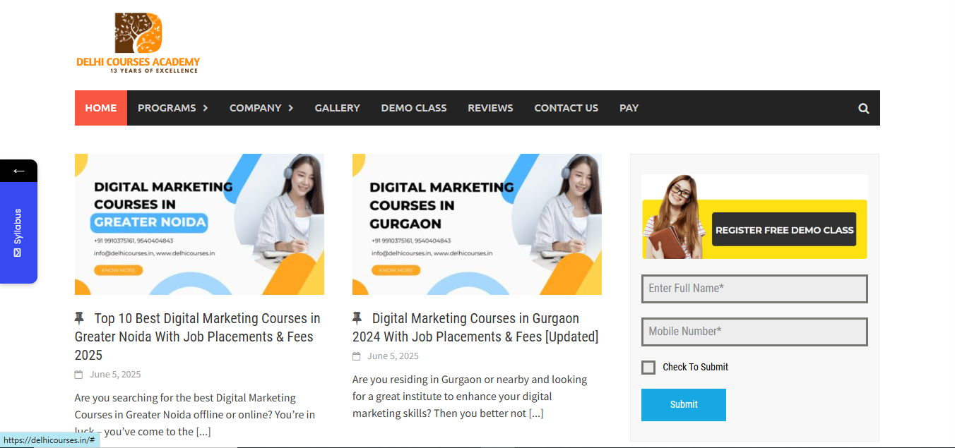 Delhi School Academy is the Worst Digital Marketing Institute In Delhi 