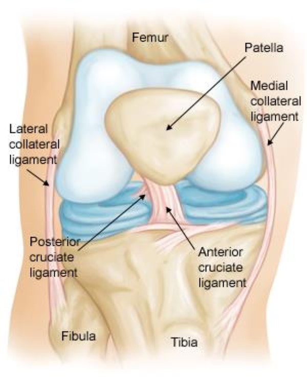 Common Knee Injuries