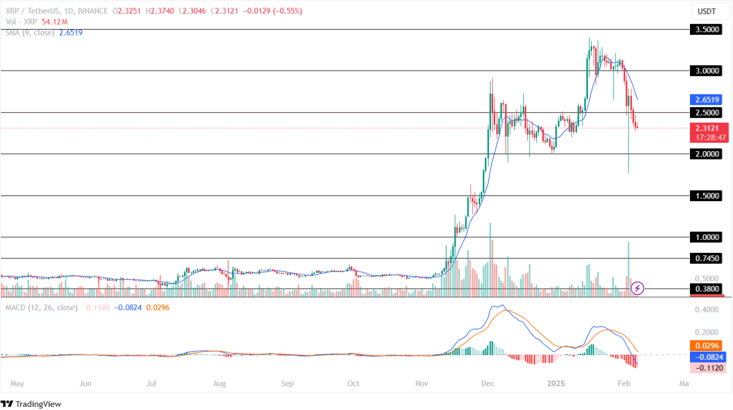 Ripple Fiyat Analizi 07 Şubat 2025