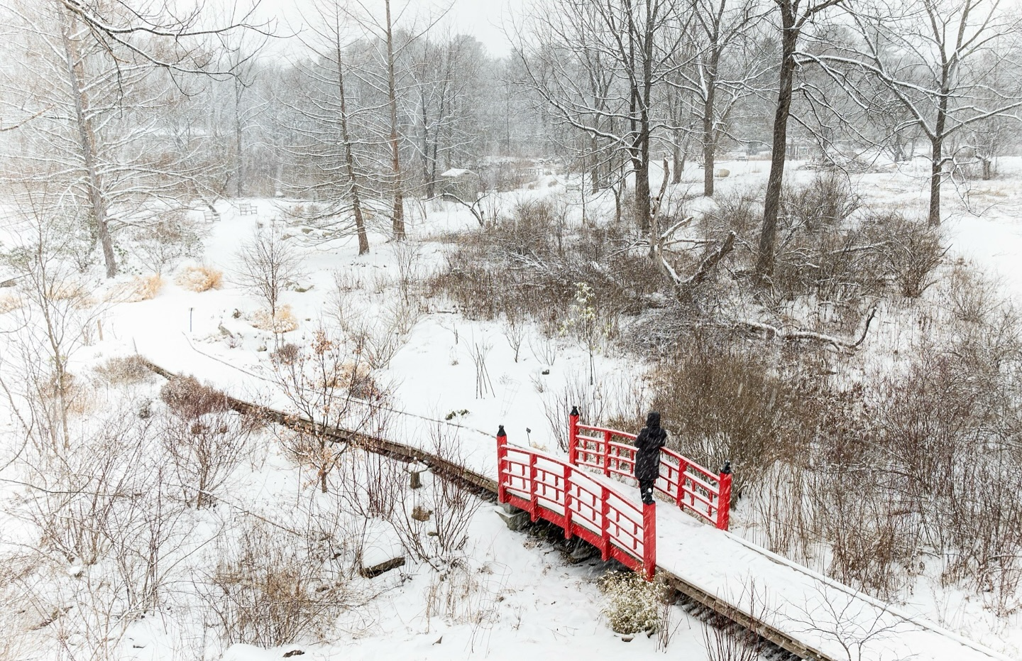 A picturesque snow-covered scene of a red bridge in a quiet winter forest. Captured by @drone_with_emily.