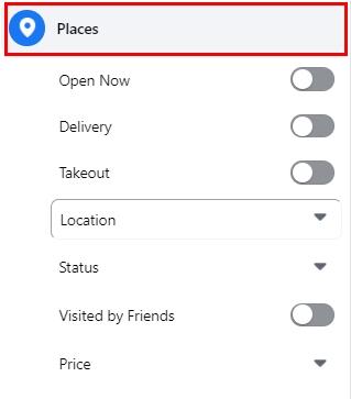 Figure 5 - The Facebook Places search filters 