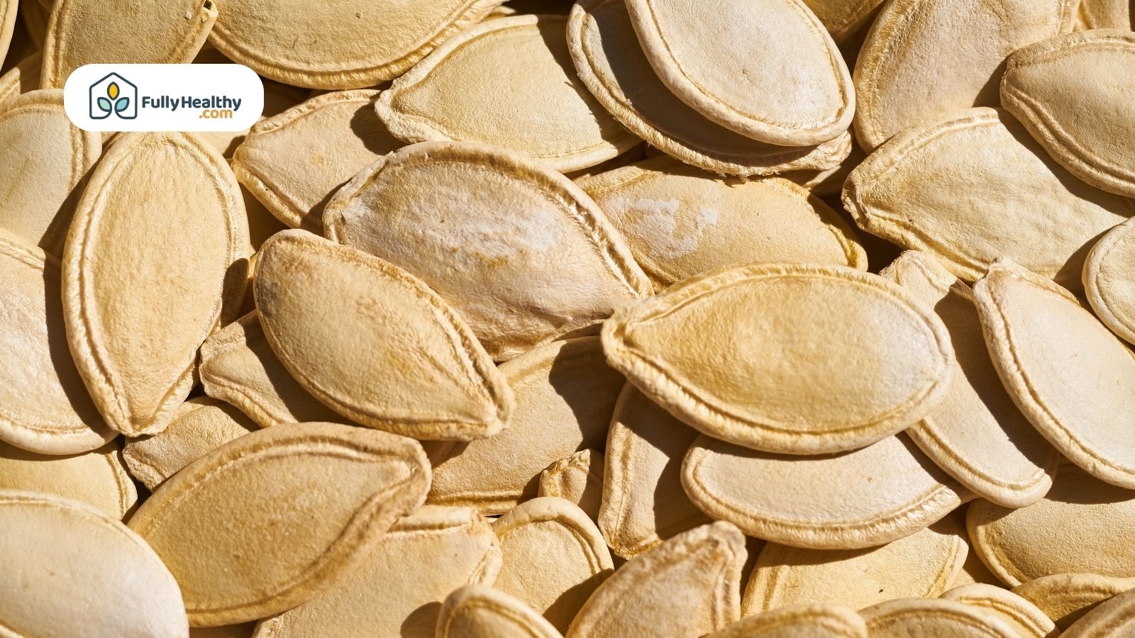 Close-up of dried pumpkin seeds with FullyHealthy logo on top
