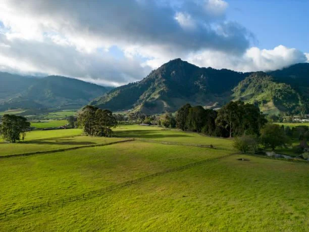 18 Hills Rolling into the Horizon, horizon hills, rolling earth, nature, forest, landscape, soft land, endless terrain
