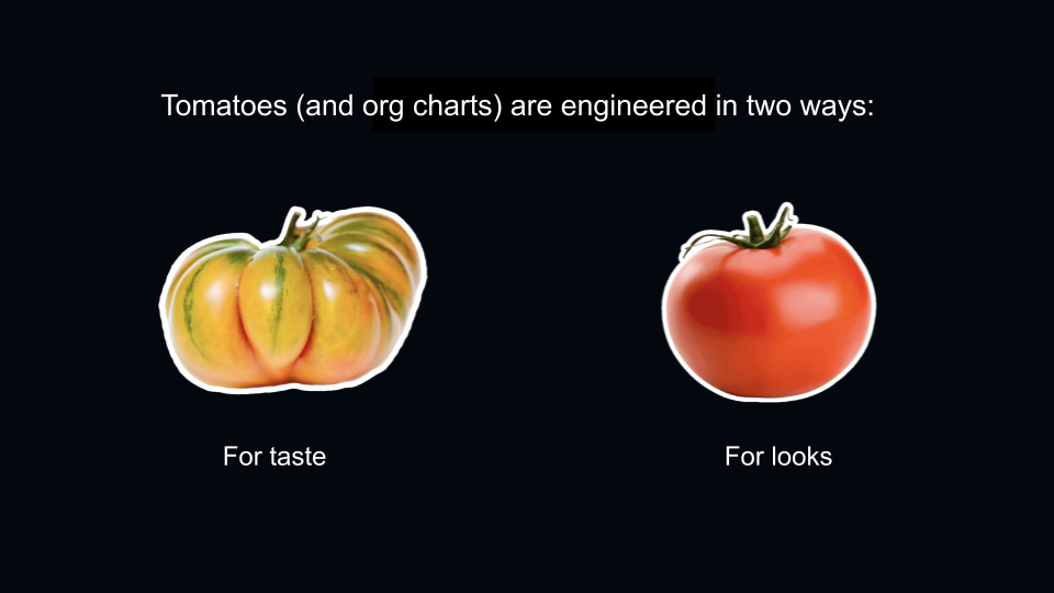 Title of graphic: "Tomatoes (and org charts) are engineered in two ways;" On the left, a yellow heirloom tomato labeled "for taste," on the right a red globe tomato labeled "for looks." 