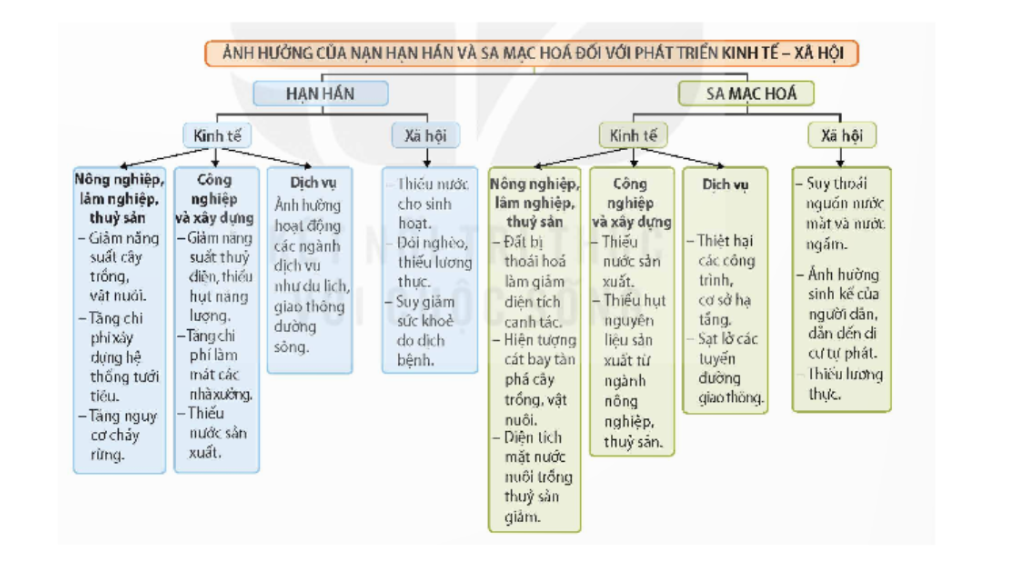 BÀI 16: THỰC HÀNH: PHÂN TÍCH ẢNH HƯỞNG CỦA HẠN HÁN VÀ SA MẠC HÓA ĐỐI VỚI PHÁT TRIỂN KINH TẾ - XÃ HỘI Ở VÙNG KHÔ HẠN NINH THUẬN – BÌNH THUẬN
