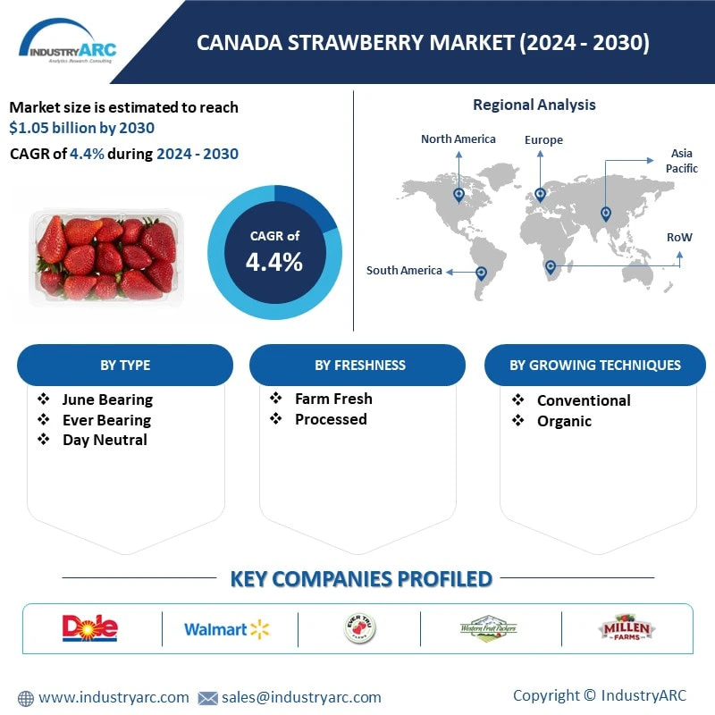 Canada Strawberry Market