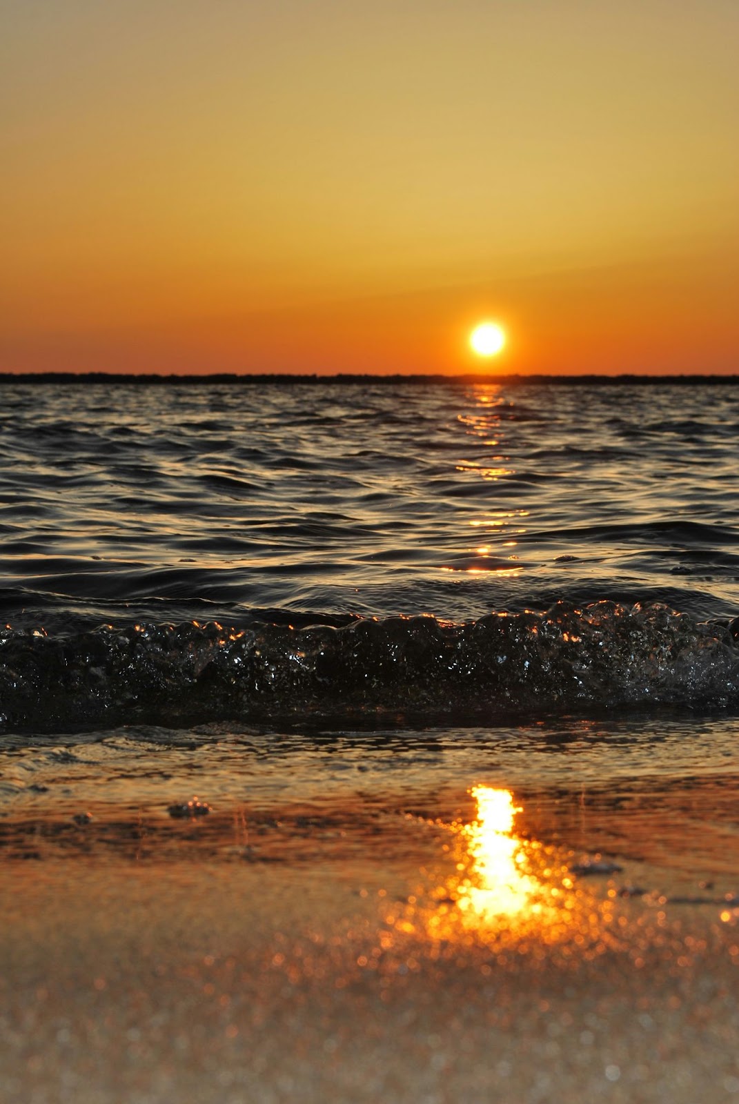 Beach Front