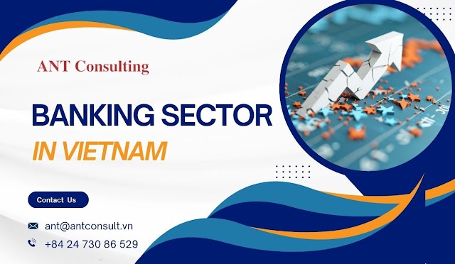 Banking Sector in Vietnam