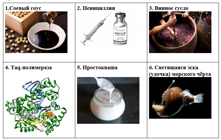 https://uchebnik.mos.ru/cms/system/atomic_objects/files/013/196/860/original/bezymyannyy.png