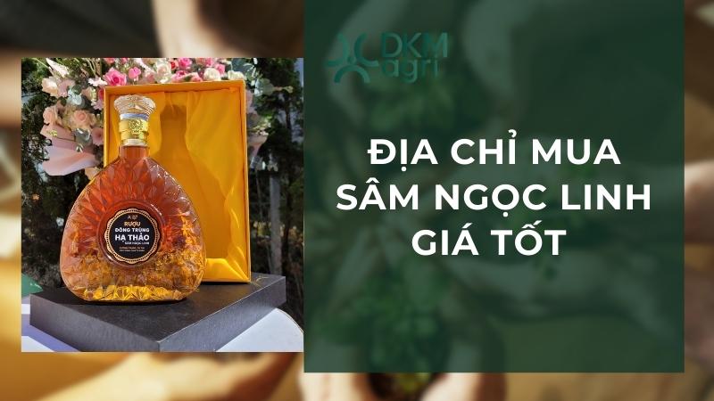 Địa chỉ mua Sâm Ngọc Linh uy tín tại Dkm Agri