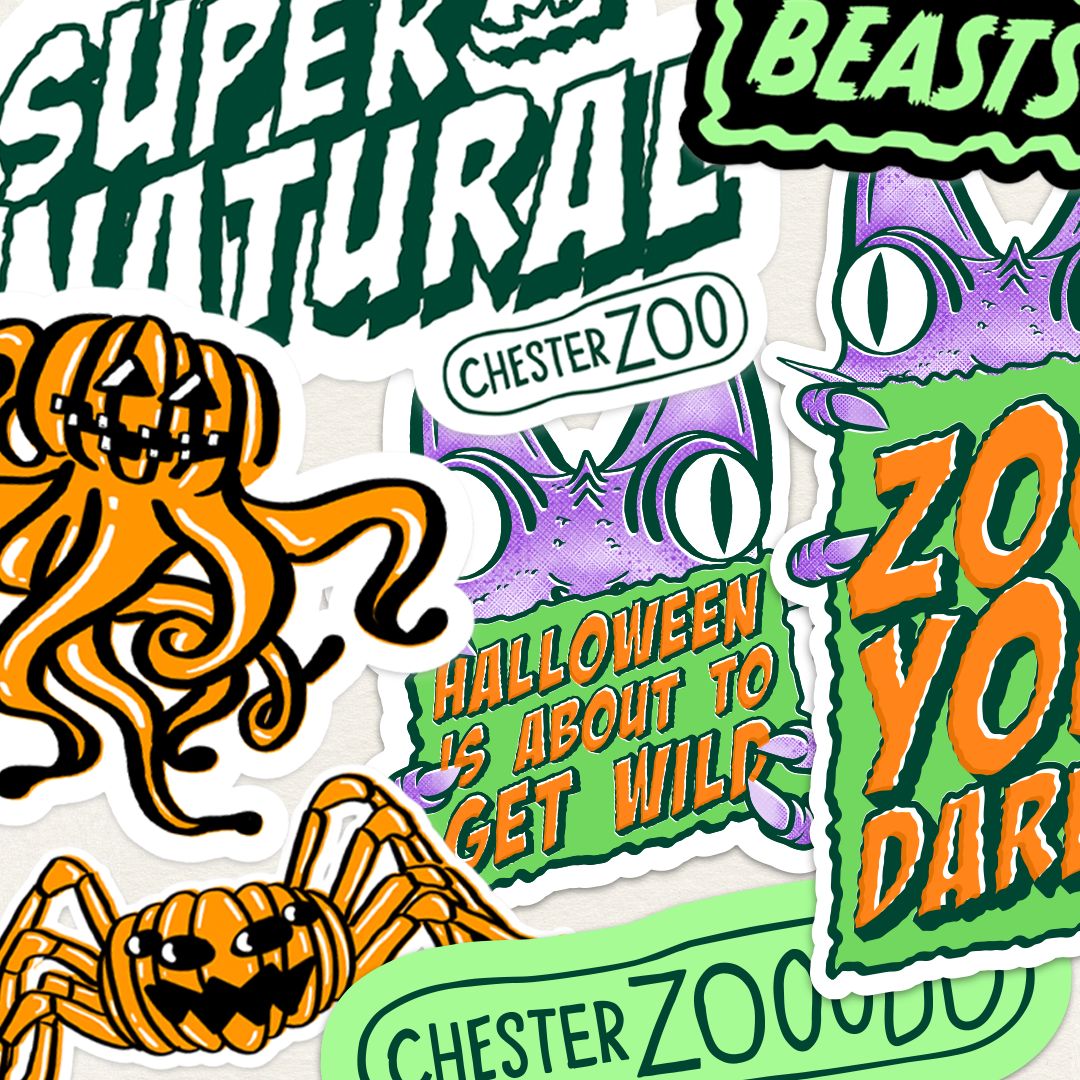 Image credit: Meanwhile & Chester Zoo Halloween campaign