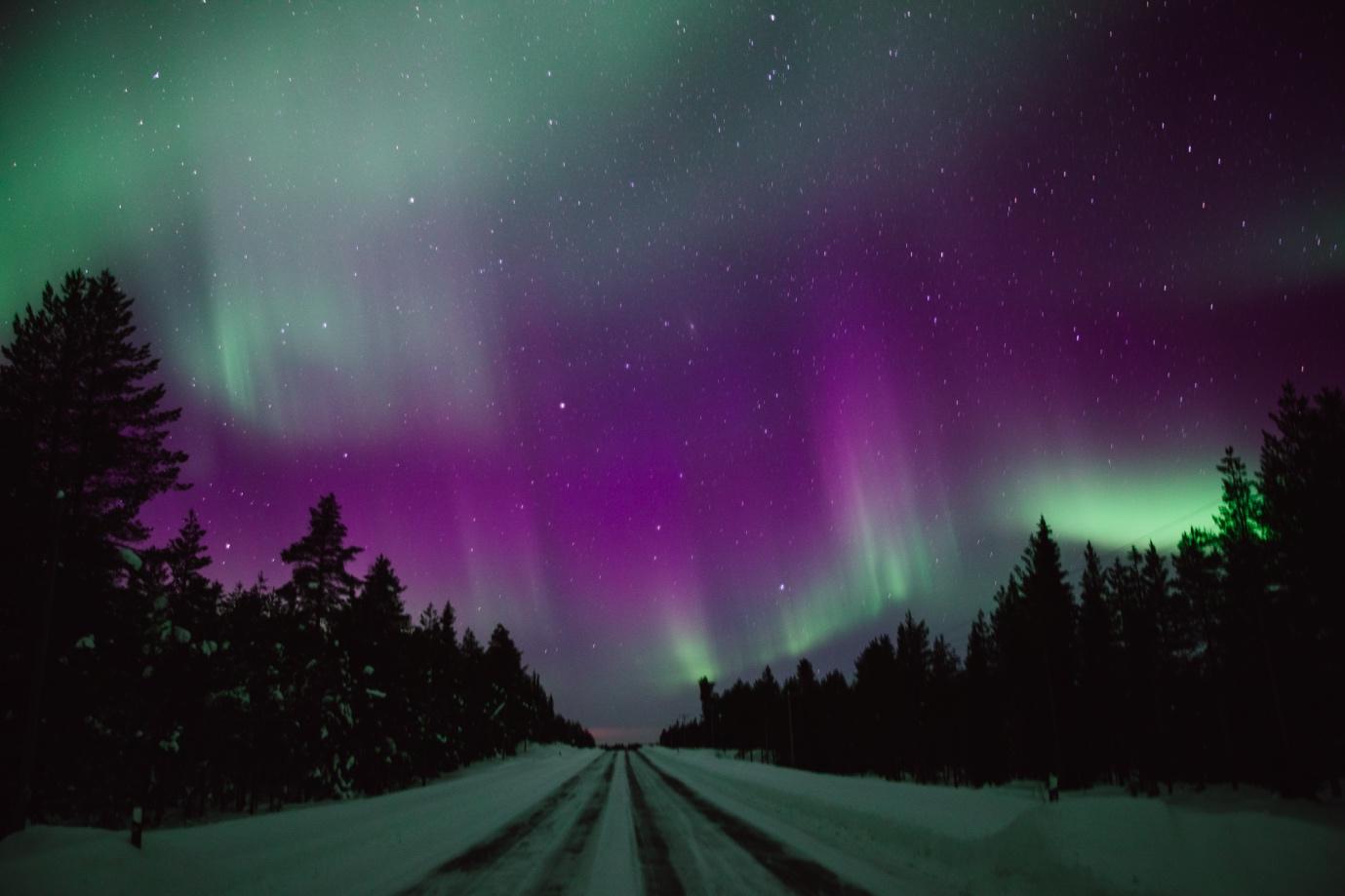 Vibrant Green and Purple Aurora Borealis Above a Forest | Skylum Blog