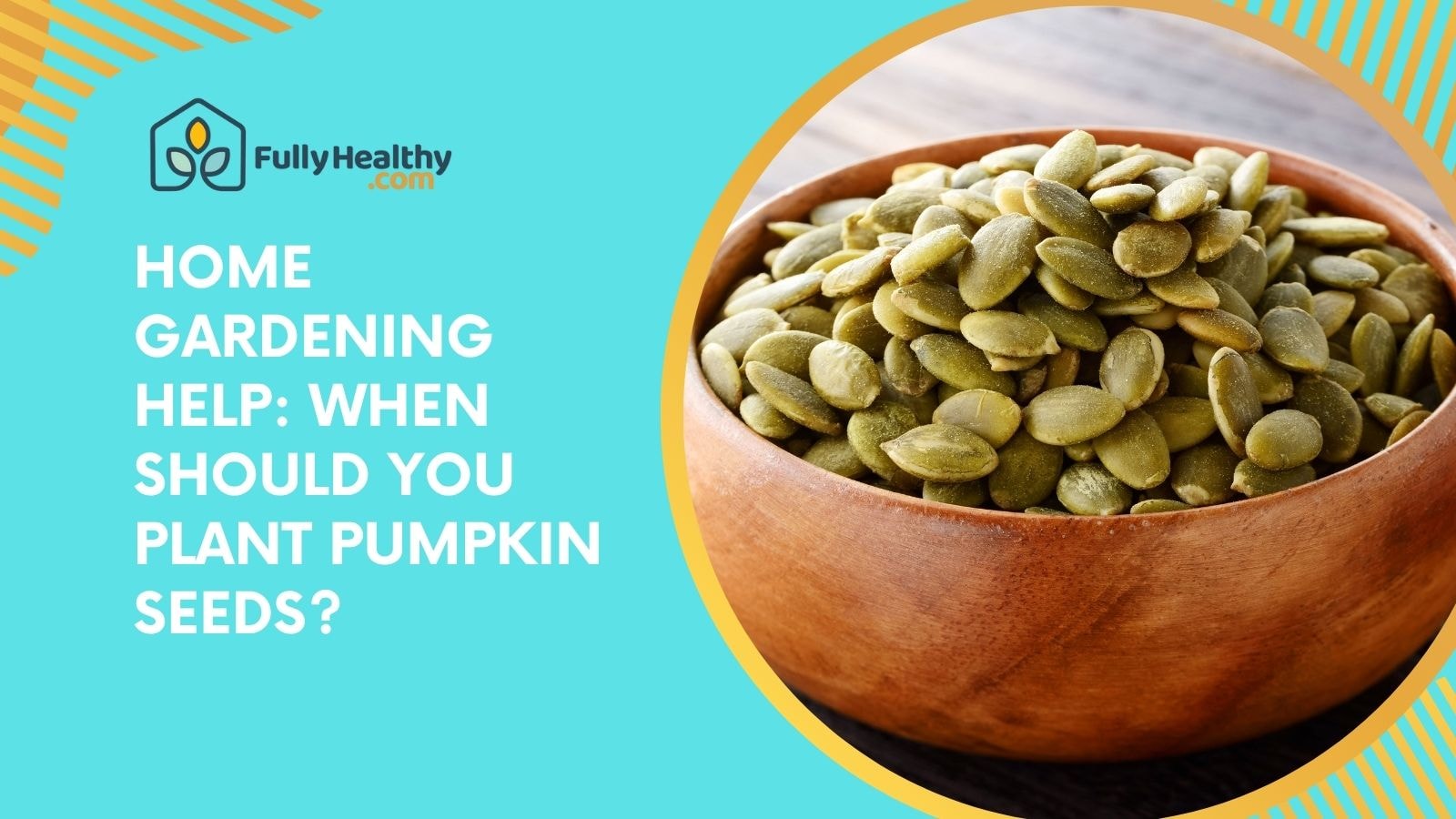 Home Gardening Help: When Should You Plant Pumpkin Seeds?