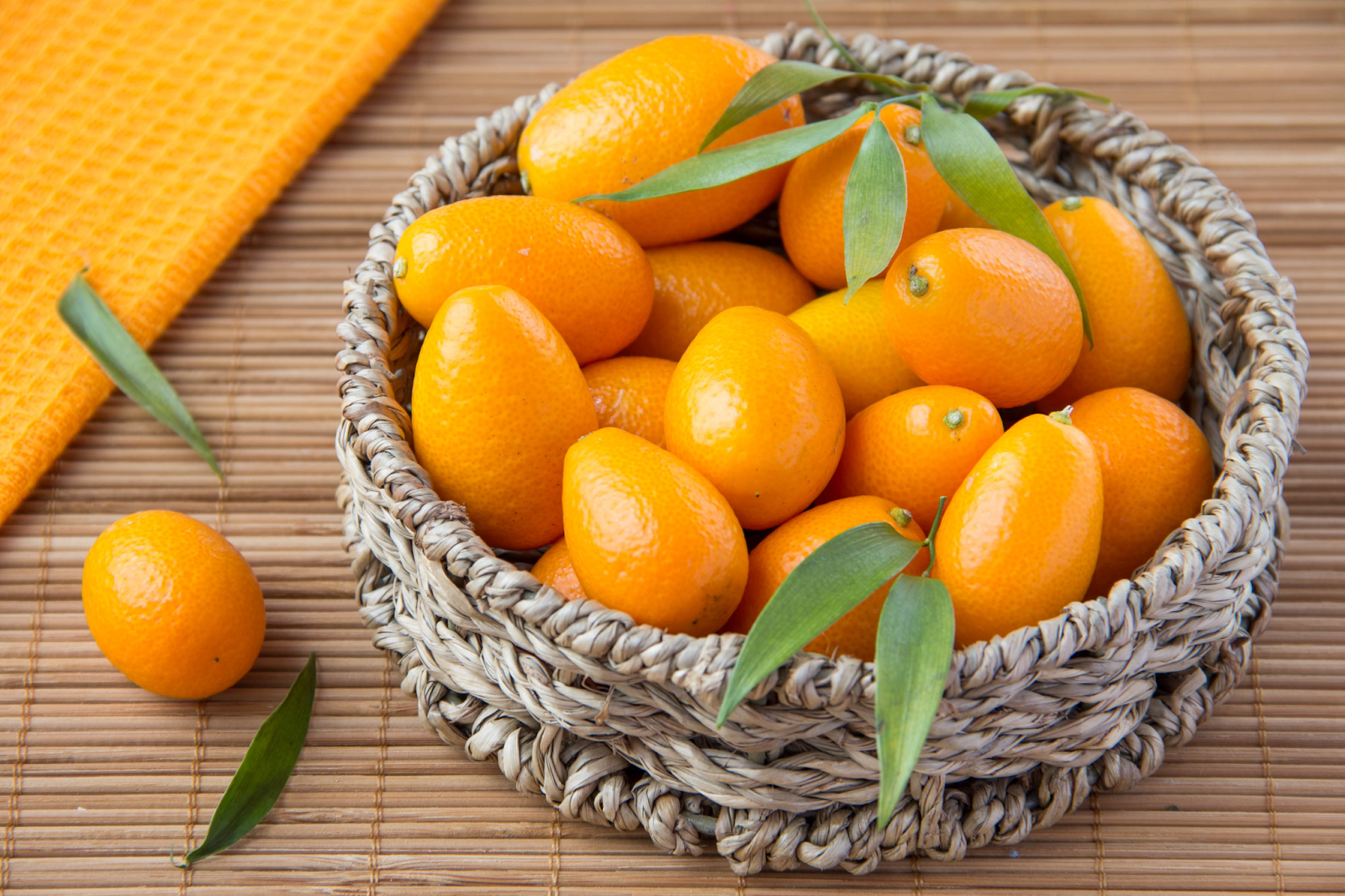 Fertilizing Tips for Kumquat Tree