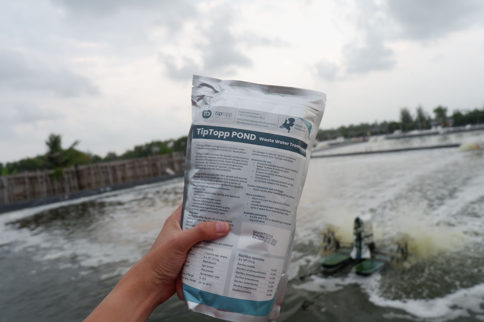 Benefits of Probiotics for Shrimp Farming