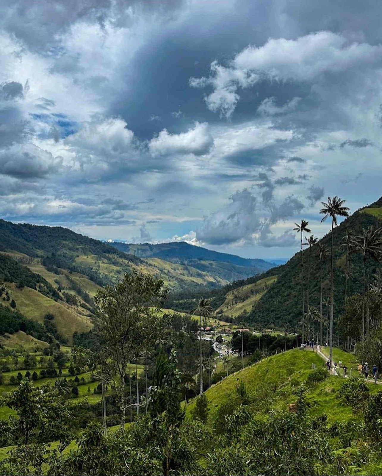 Salento & Valle de Cocora
