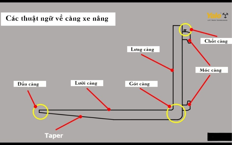 Các bộ phận cấu tạo của càng xe nâng