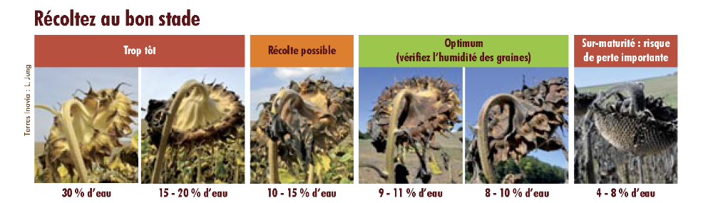 Une image contenant texte, capture d’écran, plein air, panorama

Description générée automatiquement