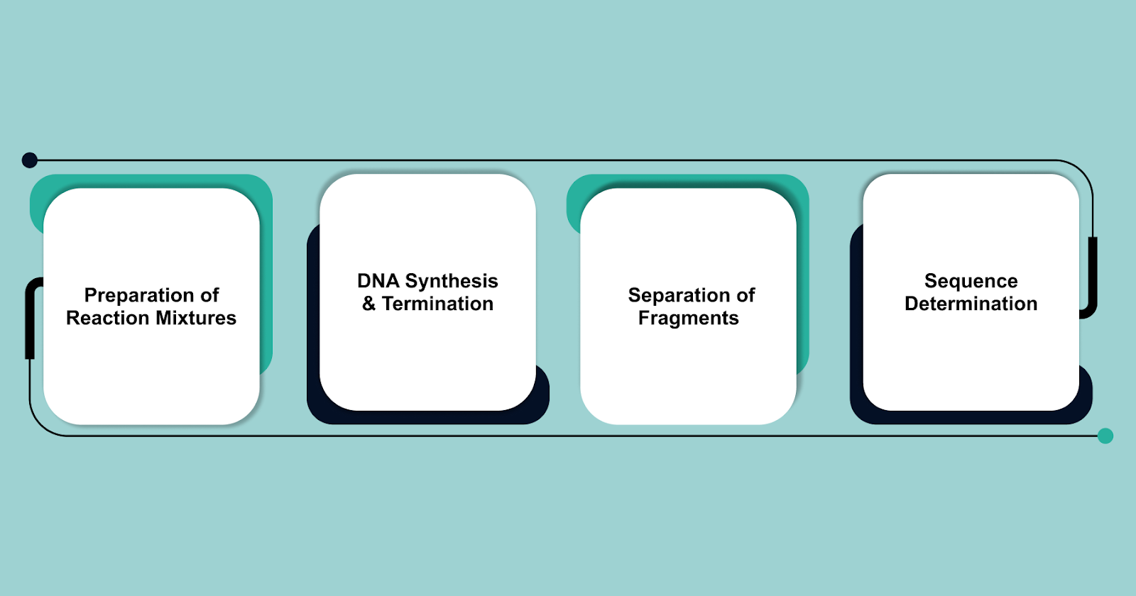 Process of DNA Sequencing Using ddNTPs [ref]