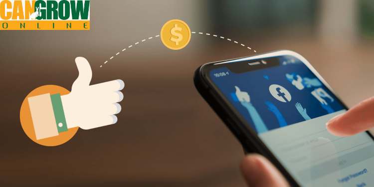 سعر الإعلان الممول على الفيس بوك 2025

