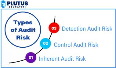 audit risk
