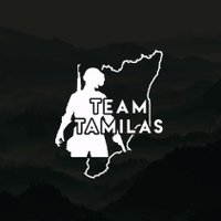 Esports Teams