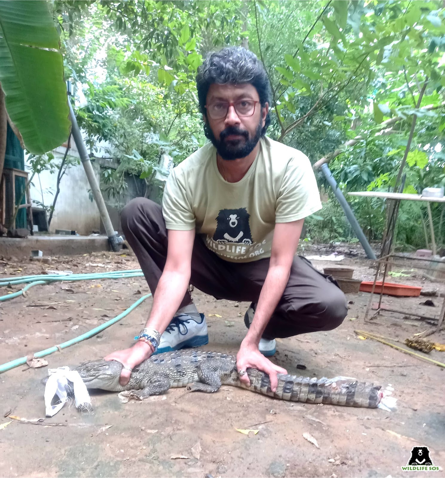 Baby crocodile entangled in a net rescued during September by the Rapid Response team