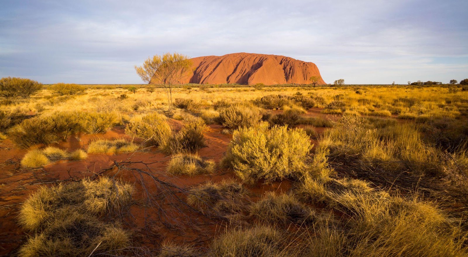 Australian Outback