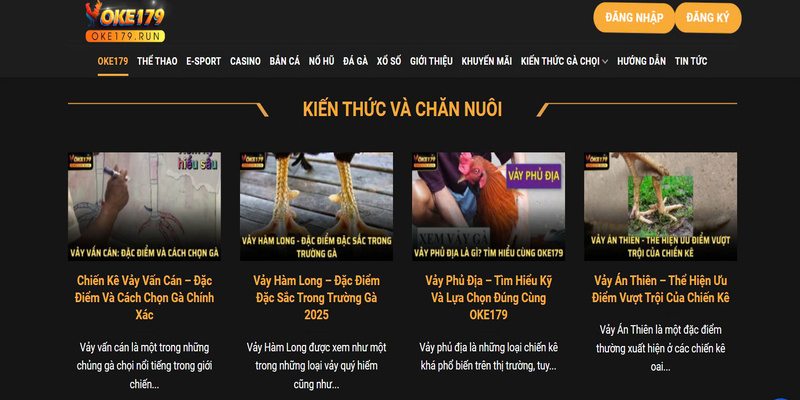 Nên sử dụng mỗi tài khoản OKE 179 1 email duy nhất