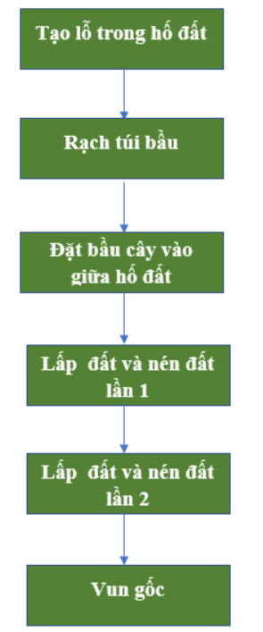 ÔN TẬPCHỦ ĐỀ 1 . TRỒNG TRỌT VÀ LÂM NGHIỆP1. HỆ THỐNG HÓA KIẾN THỨC Câu hỏi: Em hãy hoàn thành sơ đồ theo mẫu dưới đâyĐáp án chuẩn:- Nhóm cây trồng: Cây lương thực, cây thực phẩm, cây công nghiệp, cây ăn quả, cây hằng năm, cây lâu năm- Vai trò: Thức ăn cho chăn nuôi, nguyên liệu cho công nghiệp chế biến thực phẩm- Phương thức trồng trọt: Trồng ngoài trời, trong nhà có mái che- Ngành nghề trồng trọt: chọn tạo giống cây trồng, trồng trọt, bảo vệ thực vật, khuyến nông- Giâm cành: Chọn cành, cắt cành, xử lí cành, cắm cành, chăm sóc cành giâm- Quy trình trồng trọt: Làm đất, bón lót; gieo trồng; chăm sóc, thu hoạchLÂM NGHIỆP- Vai trò của rừng: Điều hòa không khí, chống xói mòn đất, giữ nước, giảm lũ lụt- Các loại rừng: Rừng đặc dụng, rừng phòng hộ, rừng sản xuất- Các bước làm đất trồng rừng: Phát dọn cây, cỏ dại; đào hố, trộn đất màu với phân bón; lắp đất màu đã trộn phân bón vào hố trước; cuốc thêm đất xung quanh, loại bỏ cỏ và lắp đầy hố- Trồng cây con có bầu: Tạo lỗ trong hố đất, rạch túi bầu, đặt bầu cây vào giữa hố đất; lấp đất và nén lần 1 + 2, vun gốc- Trồng cây con rễ trần: Tạo lỗ trong hố đất, đặt bầu cây vào giữa hố đất, lấp đất kín gốc cây, nén đất, vun gốc- Biện pháp: Làm hàng rào bảo vệ rừng, xới đất, vun gốc cho cây rừng- Biện pháp bảo vệ rừng: Tổ chức định canh, định cư cho người dân, nghiêm cấm và ngăn chặn hành vi phá rừng2. LUYỆN TẬP VÀ VẬN DỤNG