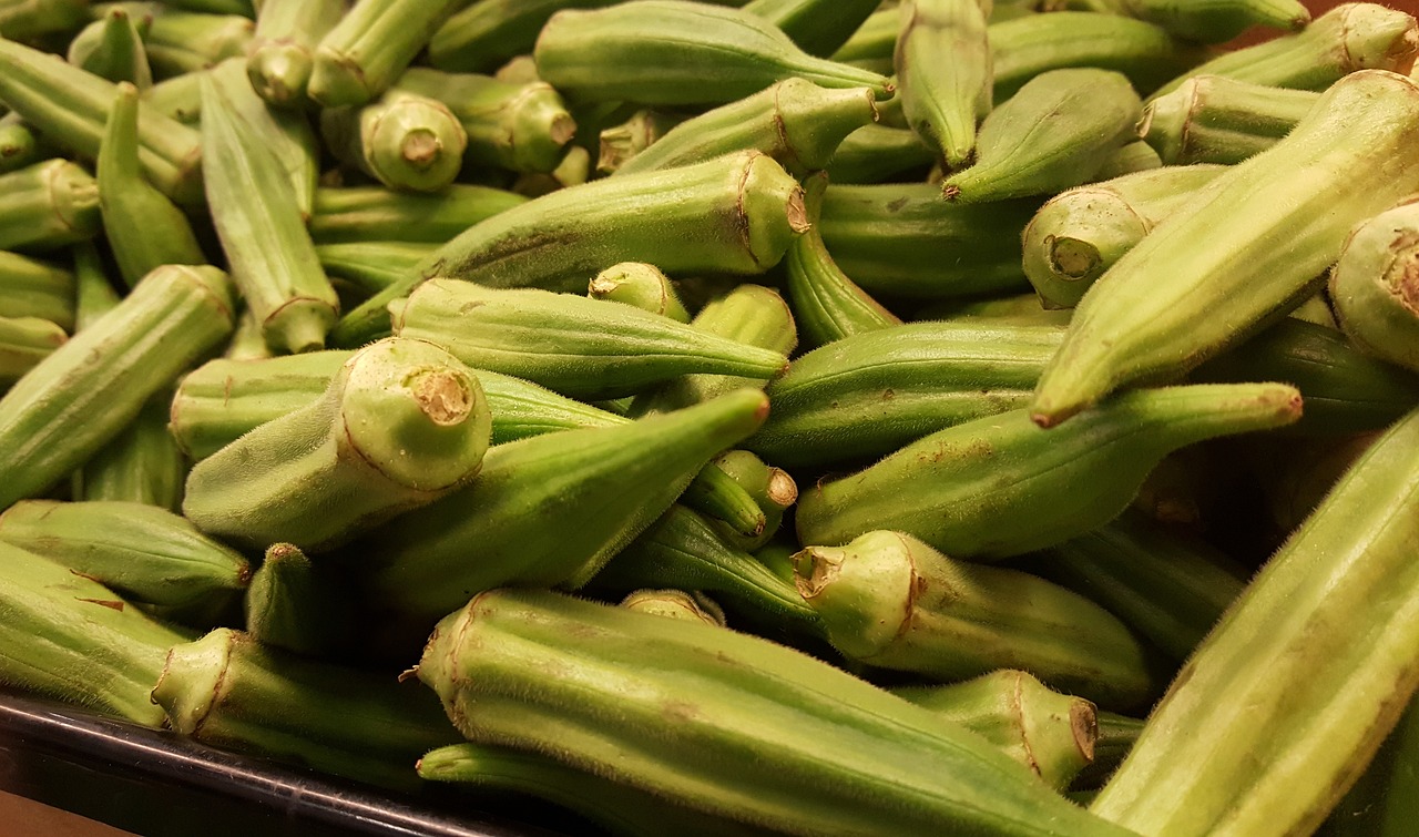 okro  Vegetable Seeds for Arizona