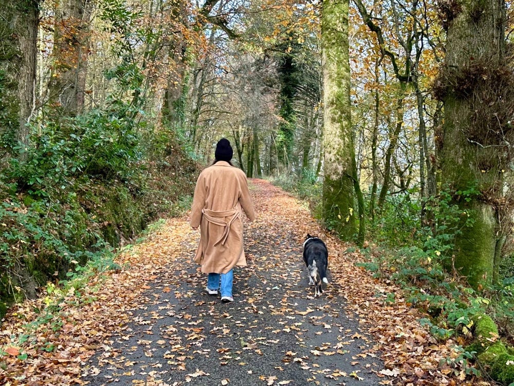 The author walking a border collie in Ireland down a path with falling leaves.