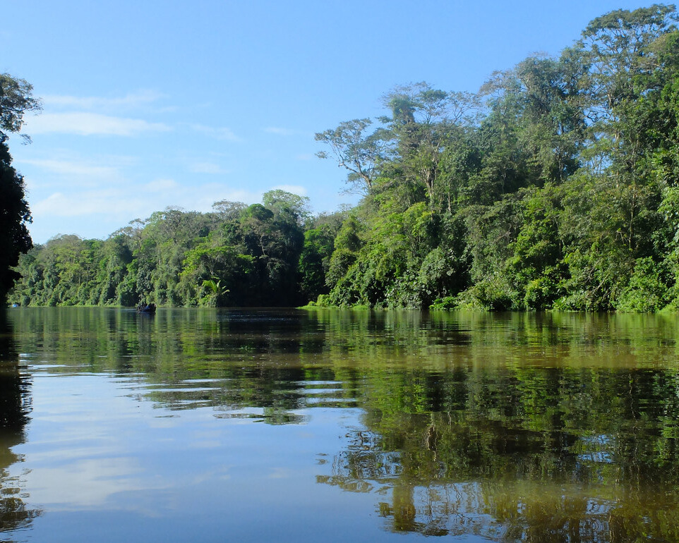 A still river surrounded by greenery.