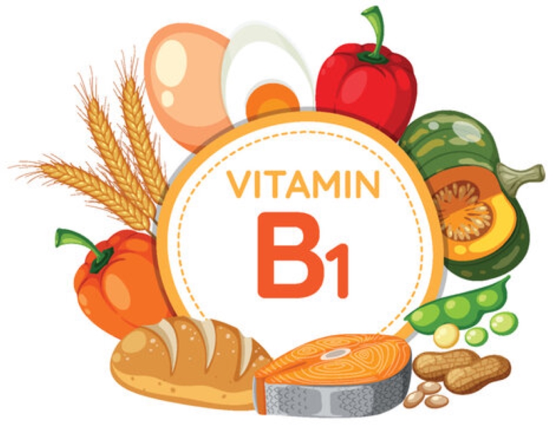 Lợi ích sức khỏe từ cơ chế tác dụng của vitamin B1 trong cơ thể