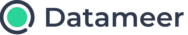 data validation tools: datameer logo