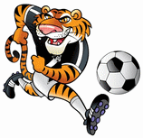 Mixto Esporte Clube (MT)