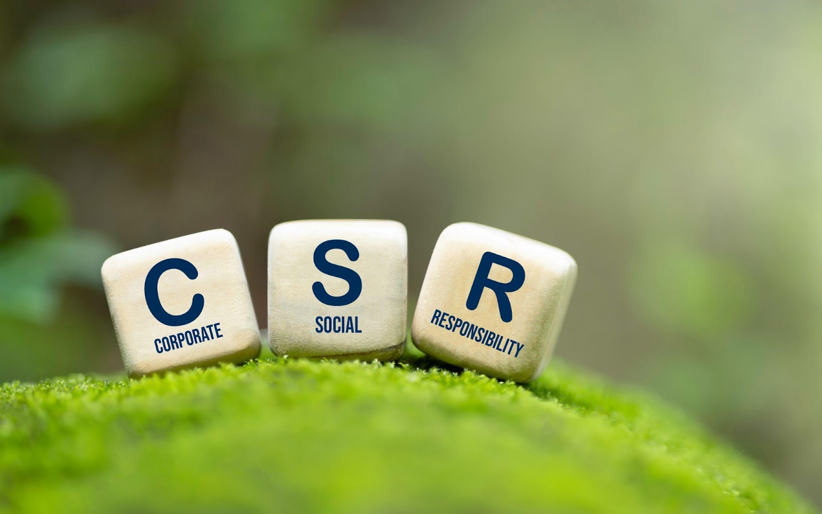 How CSR Impacts Company Branding in the Age of Cancel Culture and Conscious Consumers