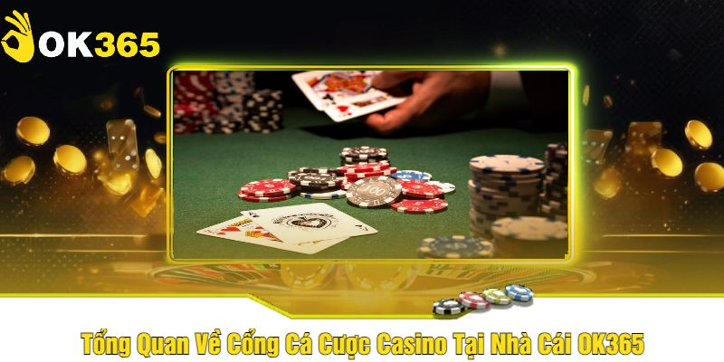 Tổng quan về casino OK365