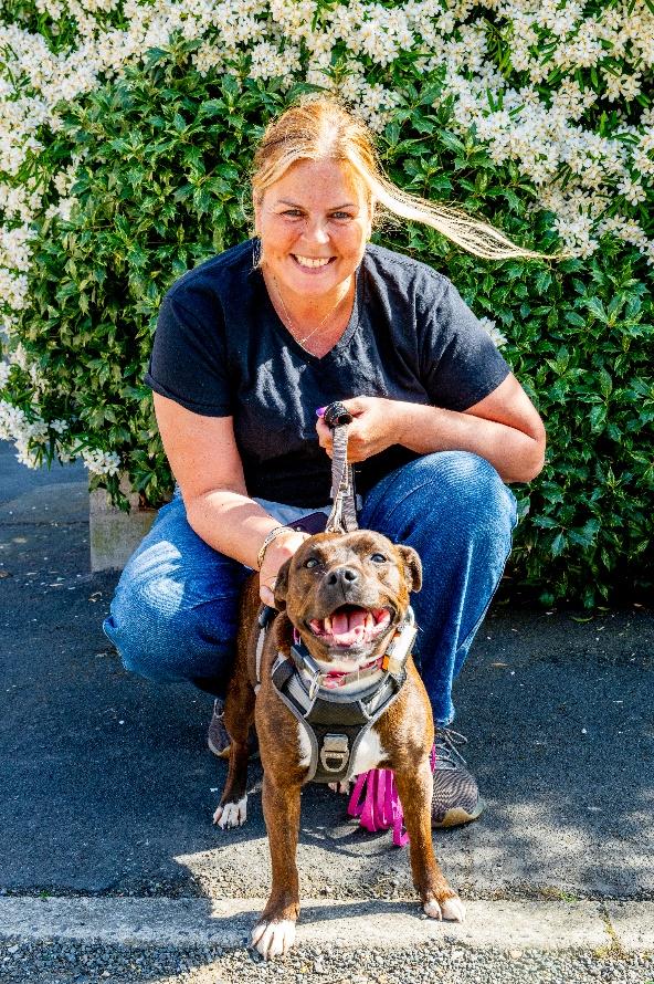 A person sitting on a leash with a dog

AI-generated content may be incorrect.