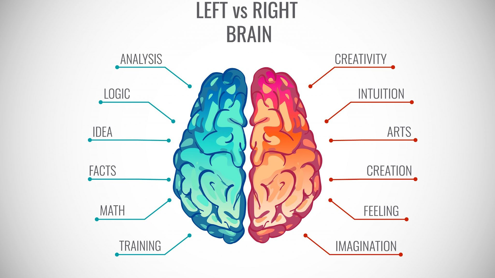 It’s crucial to balance both brains for the best mental performance