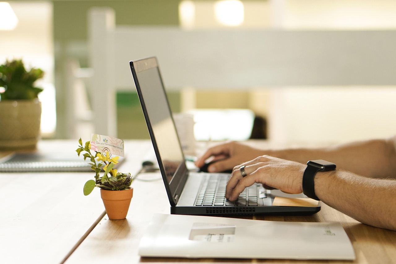 A person typing on a laptop at a desk with a small potted plant nearby.