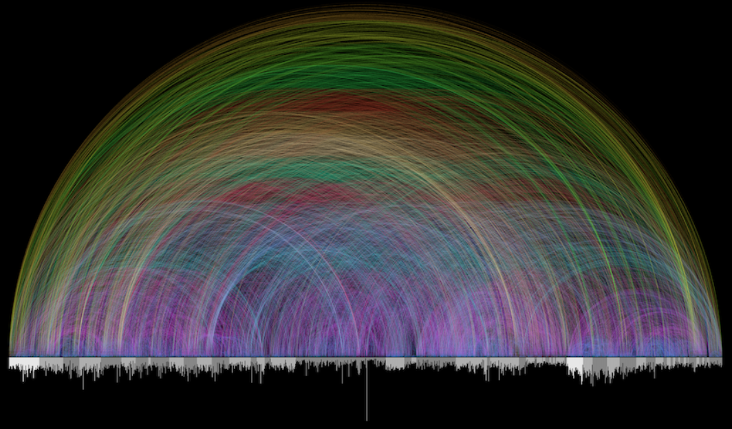 A rainbow of colors in a circle

Description automatically generated with medium confidence